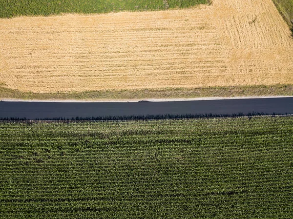 Neue Asphaltstraße Zwischen Mais Und Weizenfeldern Der Ukraine Drohnenblick Aus — Stockfoto