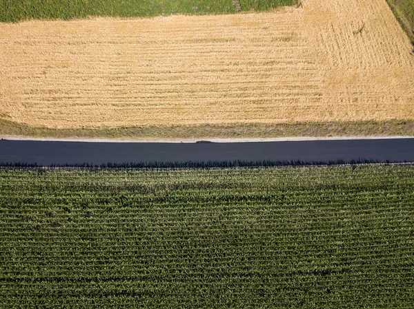 ウクライナのトウモロコシ畑と小麦畑の間の新しいアスファルト道路 空中ドローンビュー — ストック写真