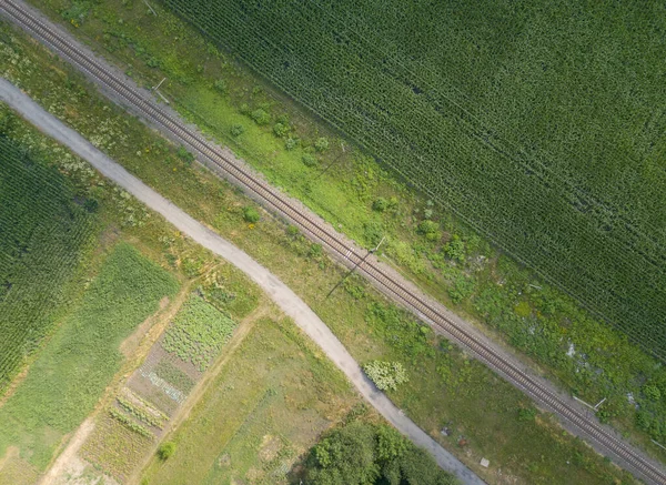 通过铁路穿过乌克兰的一个绿色玉米地 空中无人驾驶飞机视图 — 图库照片