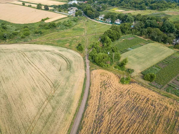 Vue Aérienne Sur Drone Champs Agricoles Blé Mûr Dans Village — Photo