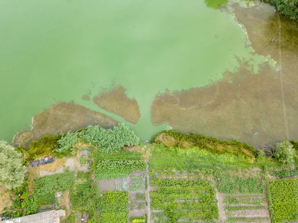 Letecký Výhled Zelené Jezero Ukrajinské Vesnici — Stock fotografie