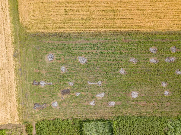 乌克兰村庄的农田 空中无人驾驶飞机视图 — 图库照片