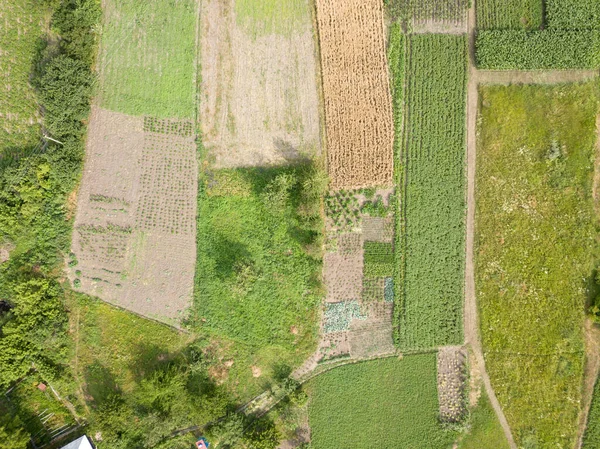 Agricultural Fields Ukrainian Village Aerial Drone View — Stock Photo, Image