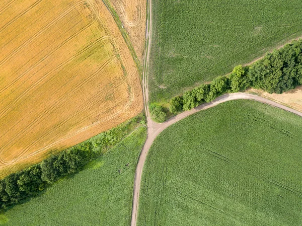 Vista Aérea Drones Campo Milho Verde Campo Trigo Amarelo Aldeia — Fotografia de Stock