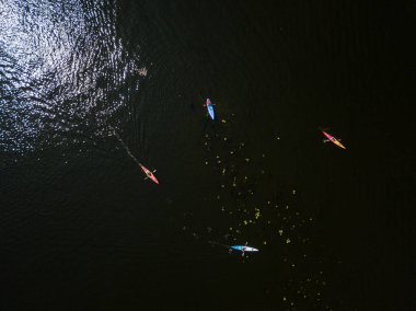 Kano tekneleri Dinyeper Nehri 'nden geçiyor. Güneşli yaz günü, hava aracı manzarası.