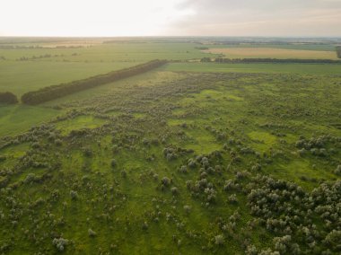 Aerila İHA görüntüsü. Ukrayna 'daki tarım alanları.