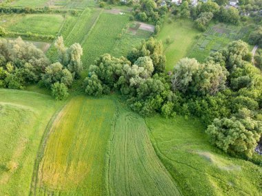 Hava aracı görüntüsü. Ukrayna 'da yeşil çayır.