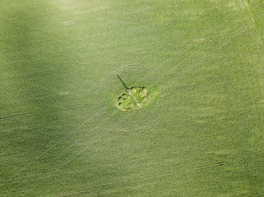 Ukrayna 'daki bir mısır tarlasından geçen elektrik hattı. Hava aracı görünümü.