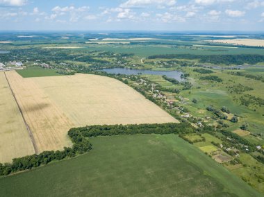 Ukrayna 'da olgunlaşan buğday ve mısır tarlaları. Hava aracı görünümü.