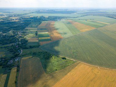 Ukrayna 'da olgunlaşan buğday ve mısır tarlaları. Hava aracı görünümü.