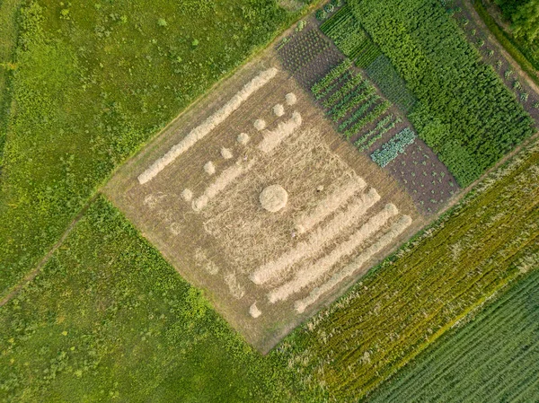 Campos Agrícolas Trigo Maduro Aldea Ucraniana Vista Aérea Del Dron — Foto de Stock