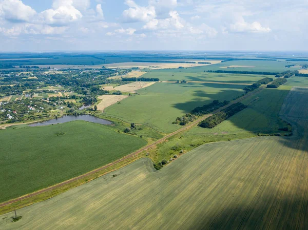 Aerial Drone View Field Ripening Wheat Corn Ukraine Lake — Stock Photo, Image