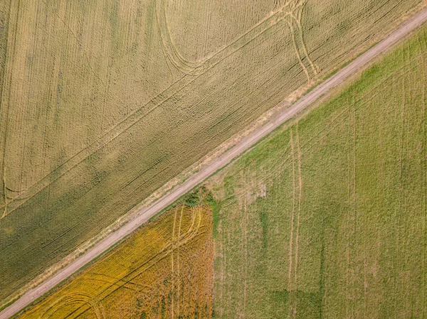 Campos Amadurecimento Trigo Milho Ucrânia Vista Aérea Drones — Fotografia de Stock