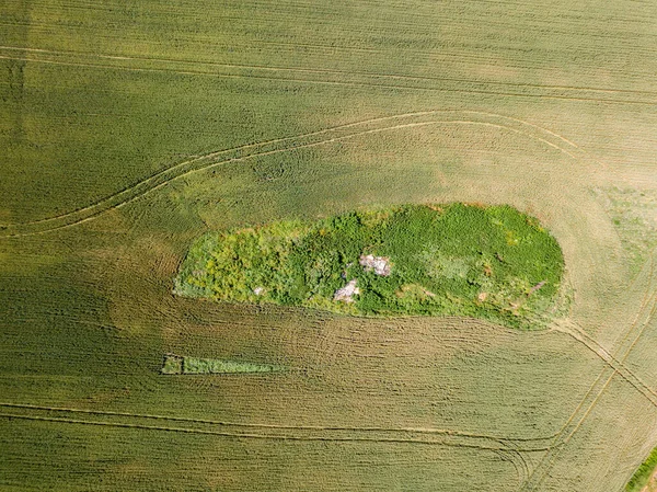 Aerila Drone Vista Campi Agricoli Ucraina — Foto Stock