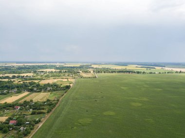 Ukrayna 'daki yeşil mısır tarlası. Hava aracı görünümü.
