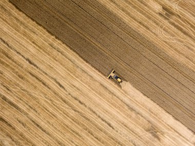 Hava aracı görüntüsü. Hasatçı Ukrayna tarlasında buğday hasat ediyor..