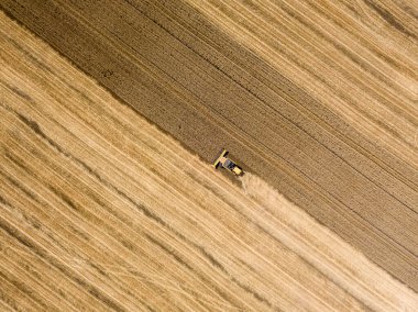 Hava aracı görüntüsü. Hasatçı Ukrayna tarlasında buğday hasat ediyor..