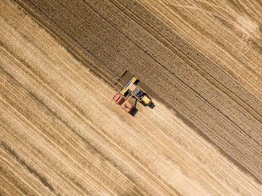 Aerila İHA görüntüsü. Hasat aracı buğday mahsulünü kamyona boşaltır..