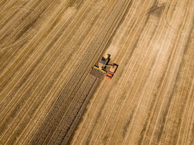 Aerila İHA görüntüsü. Hasat aracı buğday mahsulünü kamyona boşaltır..