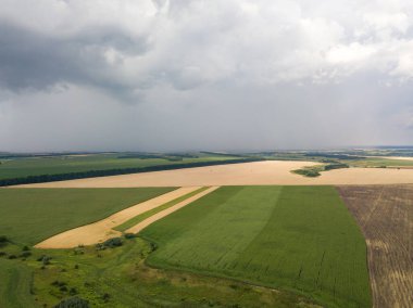 Aerila İHA görüntüsü. Ukrayna 'daki tarım arazileri üzerine yaz yağmuru.