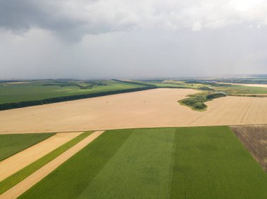 Aerila İHA görüntüsü. Ukrayna 'daki tarım arazileri üzerine yaz yağmuru.