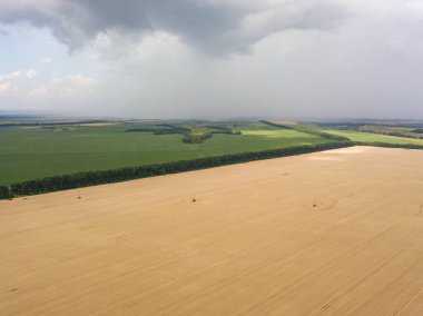 Aerila İHA görüntüsü. Ukrayna 'daki tarım arazileri üzerine yaz yağmuru.