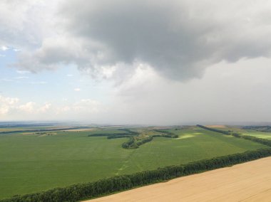 Aerila İHA görüntüsü. Ukrayna 'daki tarım arazileri üzerine yaz yağmuru.