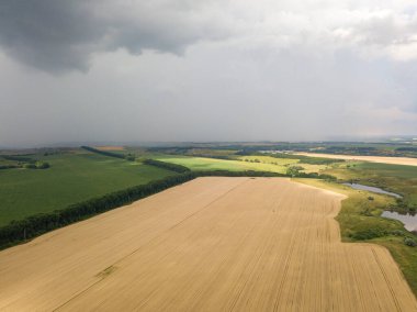 Aerila İHA görüntüsü. Ukrayna 'daki tarım arazileri üzerine yaz yağmuru.