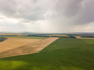 Aerila İHA görüntüsü. Ukrayna 'daki tarım arazileri üzerine yaz yağmuru.