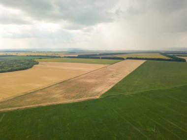 Aerila İHA görüntüsü. Ukrayna 'daki tarım arazileri üzerine yaz yağmuru.