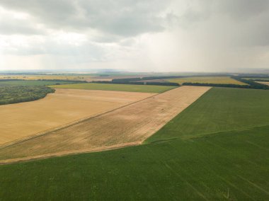 Aerila İHA görüntüsü. Ukrayna 'daki tarım arazileri üzerine yaz yağmuru.