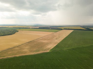 Aerila İHA görüntüsü. Ukrayna 'daki tarım arazileri üzerine yaz yağmuru.