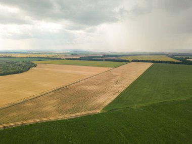 Aerila İHA görüntüsü. Ukrayna 'daki tarım arazileri üzerine yaz yağmuru.