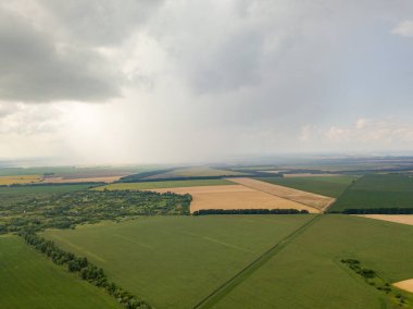 Aerila İHA görüntüsü. Ukrayna 'daki tarım arazileri üzerine yaz yağmuru.