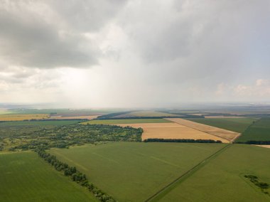 Aerila İHA görüntüsü. Ukrayna 'daki tarım arazileri üzerine yaz yağmuru.