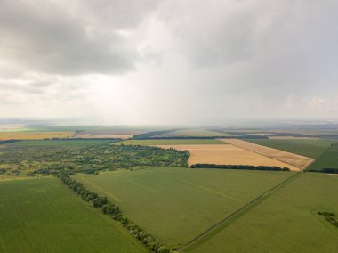 Aerila İHA görüntüsü. Ukrayna 'daki tarım arazileri üzerine yaz yağmuru.
