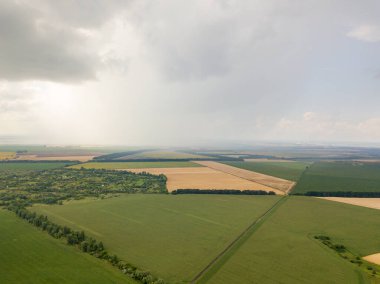Aerila İHA görüntüsü. Ukrayna 'daki tarım arazileri üzerine yaz yağmuru.