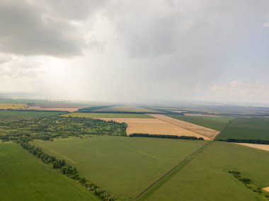 Aerila İHA görüntüsü. Ukrayna 'daki tarım arazileri üzerine yaz yağmuru.