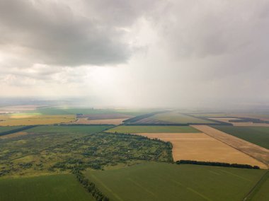 Aerila İHA görüntüsü. Ukrayna 'daki tarım arazileri üzerine yaz yağmuru.