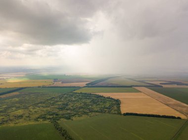 Aerila İHA görüntüsü. Ukrayna 'daki tarım arazileri üzerine yaz yağmuru.
