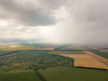 Aerila İHA görüntüsü. Ukrayna 'daki tarım arazileri üzerine yaz yağmuru.
