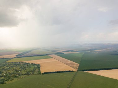 Aerila İHA görüntüsü. Ukrayna 'daki tarım arazileri üzerine yaz yağmuru.
