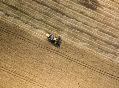 Hava aracı görüntüsü. Hasatçı Ukrayna tarlasında buğday hasat ediyor..