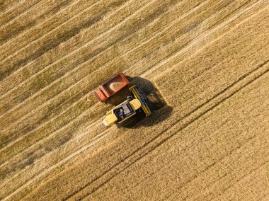 Aerila İHA görüntüsü. Hasat aracı buğday mahsulünü kamyona boşaltır..