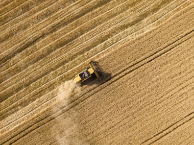 Hava aracı görüntüsü. Hasatçı Ukrayna tarlasında buğday hasat ediyor..
