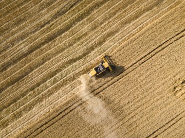 Hava aracı görüntüsü. Hasatçı Ukrayna tarlasında buğday hasat ediyor..