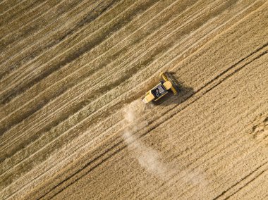 Hava aracı görüntüsü. Hasatçı Ukrayna tarlasında buğday hasat ediyor..