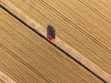 Hava aracı görüntüsü. Ukrayna 'da olgunlaşmış bir buğday tarlasında tahılla dolu bir kamyon..