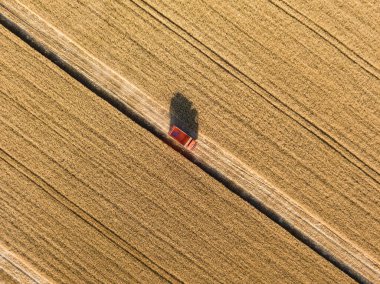Hava aracı görüntüsü. Ukrayna 'da olgunlaşmış bir buğday tarlasında tahılla dolu bir kamyon..