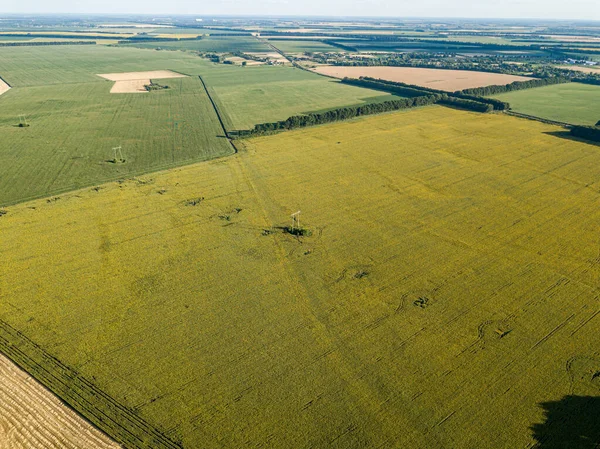 Linha Energia Através Campo Verde Girassóis Vista Aérea Drones — Fotografia de Stock